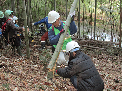 竹林整備の指導