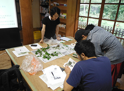 植物同定演習の様子